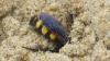 328075 – Photo : florent besson – France (17)